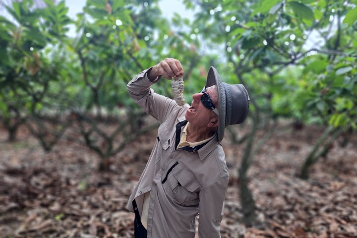 Cocoa and Tropical Fruits Farm with Fine Chocolate Experience