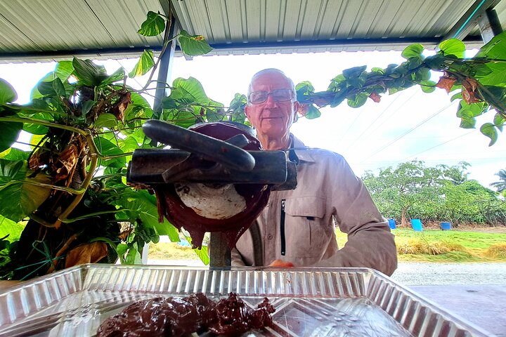 Cocoa and Tropical Fruits Farm with Fine Chocolate Experience