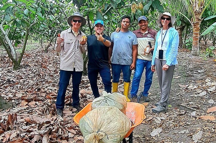 Cocoa and Tropical Fruits Farm with Fine Chocolate Experience