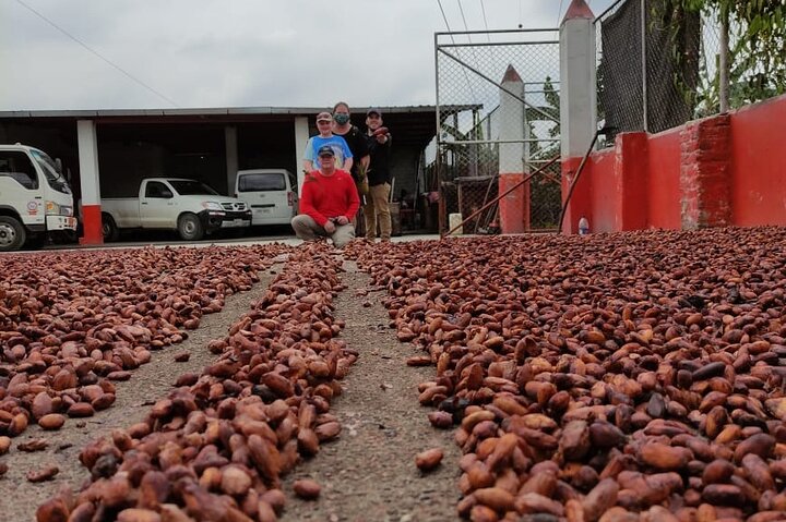 Cocoa and Tropical Fruits Farm with Fine Chocolate Experience