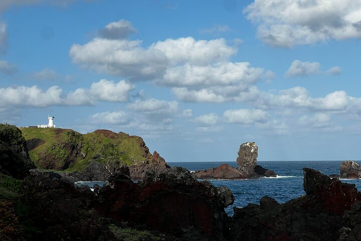 Jeju East Small-Group(Max 12) Bestseller Tour- From Seogwipo