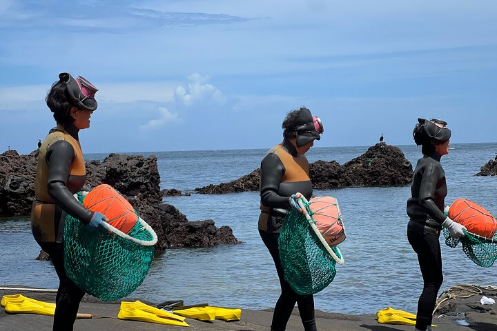 Jeju East Small-Group(Max 12) Bestseller Tour- From Seogwipo