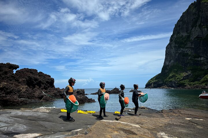 Jeju East Small-Group(Max 12) Bestseller Tour- From Seogwipo