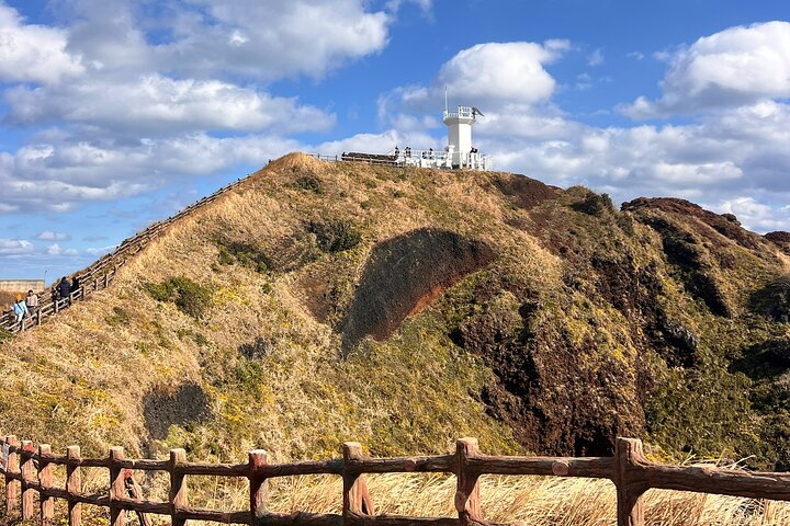 Jeju East Small-Group(Max 12) Bestseller Tour- From Seogwipo