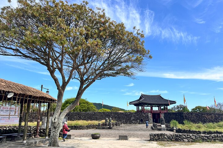 Jeju East Small-Group(Max 12) Bestseller Tour- From Seogwipo