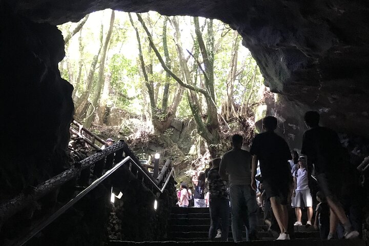 Jeju East Small-Group(Max 12) Bestseller Tour- From Seogwipo