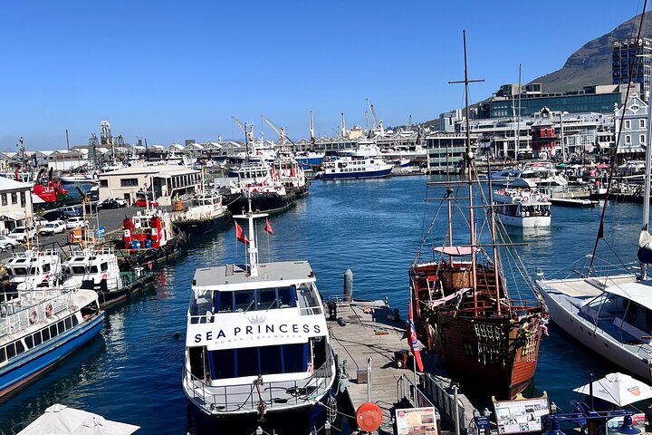 Robben Island Guided Tour with Ferry and Hotel Pickup
