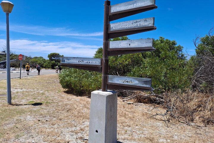 Robben Island Half-Day Tour with Ticket, Hotel Pickup & Drop-Off