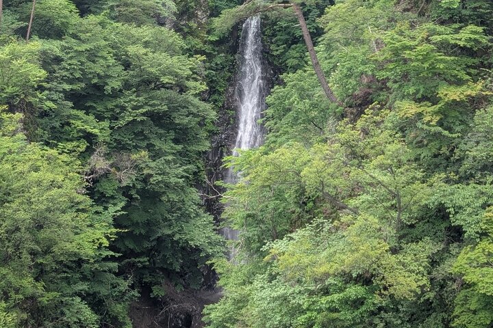 Hands-Free Private Sightseeing Shuttle from Karuizawa to Kusatsu