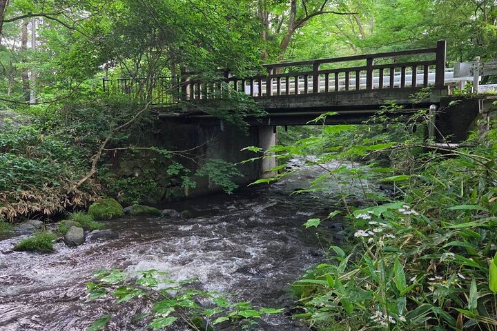 Hands-Free Private Sightseeing Shuttle from Karuizawa to Kusatsu
