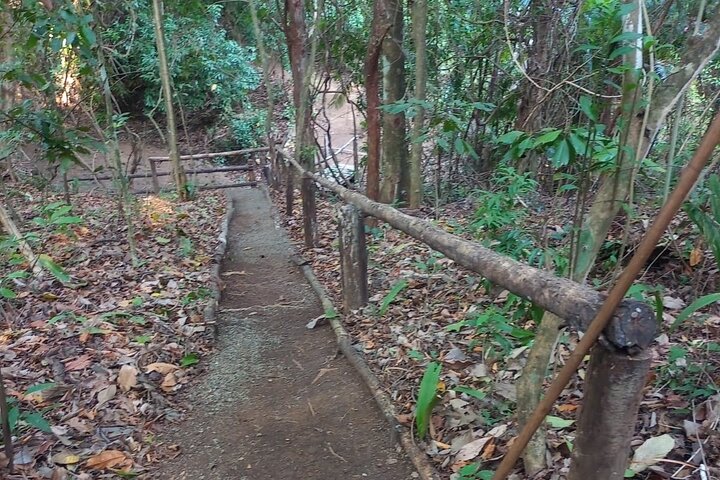 Samara Sloth Hiking & Butterfly Garden