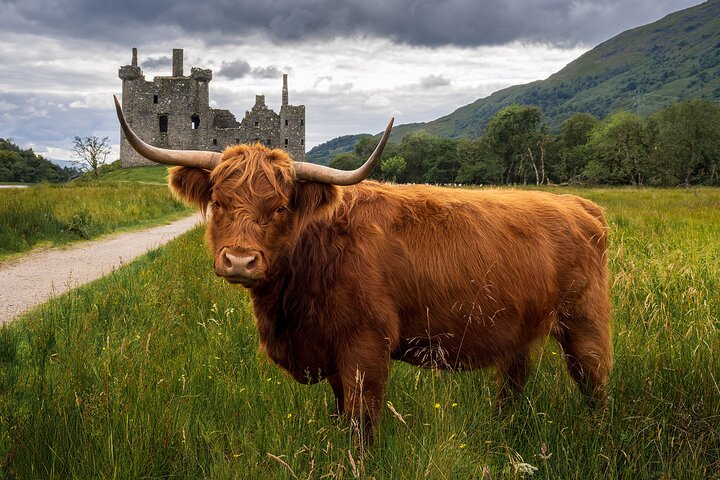 Private Tour of the Highlands, Glencoe and Castles from Stirling