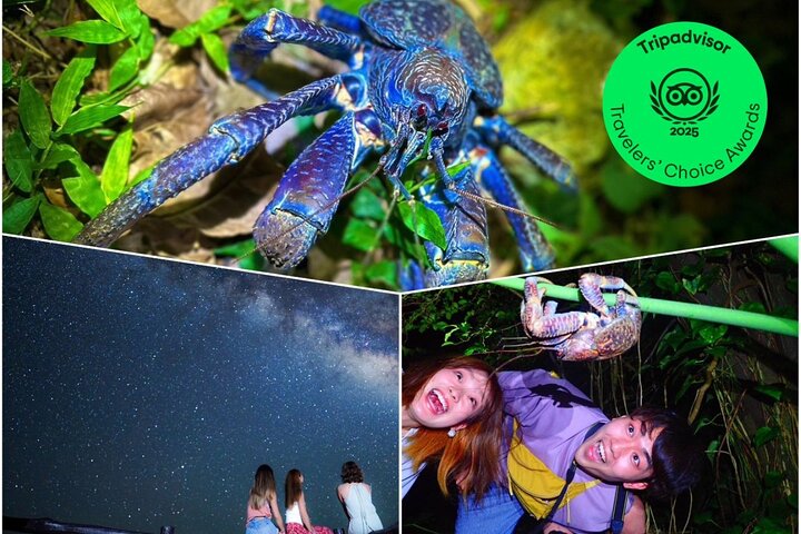 Okinawa Ishigaki Island Night Starry sky and Jungle night tour