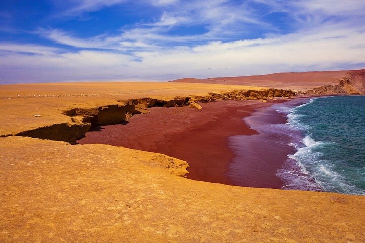 Crossbow Islands Tour and Mini Buggy in Paracas