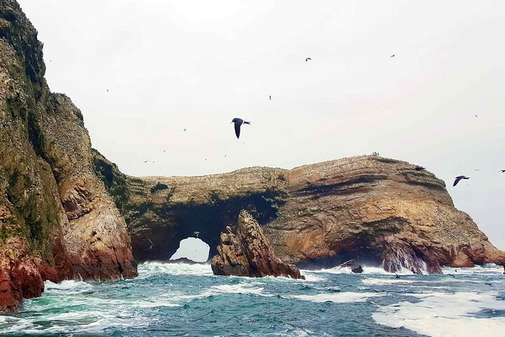 Crossbow Islands Tour and Mini Buggy in Paracas