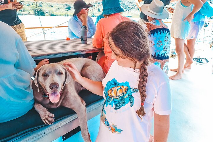 Major Tom -Sailing Day Cruise, with Snorkeling, Lunch & More!