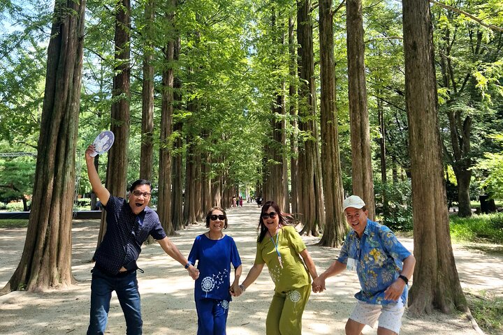 [ Full Day ] Nami Island & Petit France From Seoul
