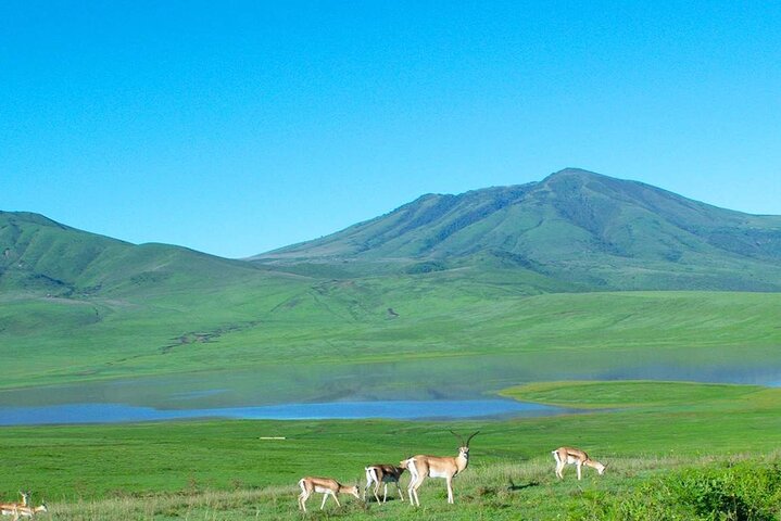 Full Day Aso Volcano and Kumamoto Castle Scenic Explorer Tour