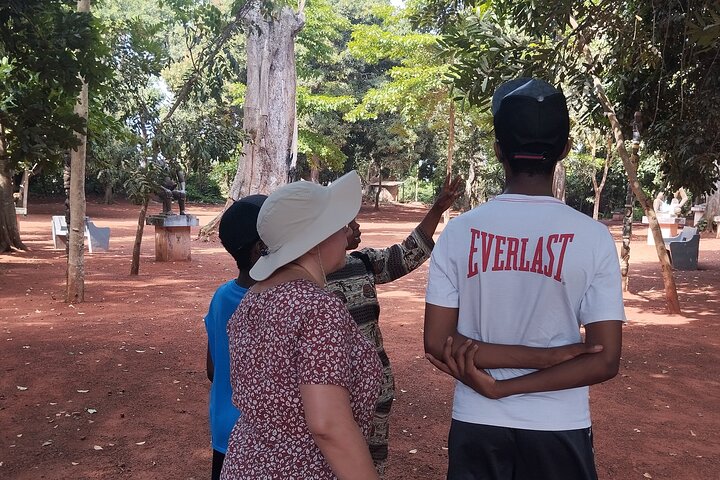 Guided tour of the essentials in Ouidah!