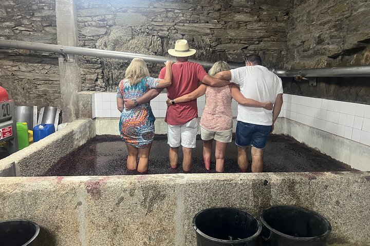 Douro Valley amazing wine Tours