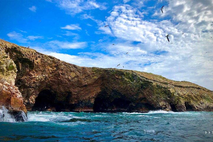 Crossbow Islands Tour and Mini Buggy in Paracas
