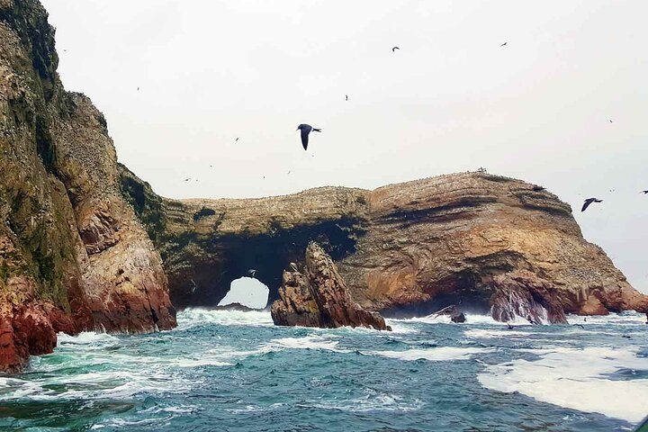 Crossbow Islands Tour and Mini Buggy in Paracas