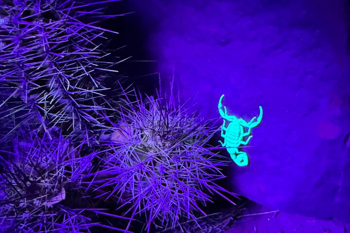 Prescott Night Hike and Stargazing