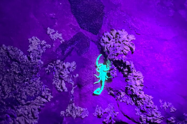 Prescott Night Hike and Stargazing