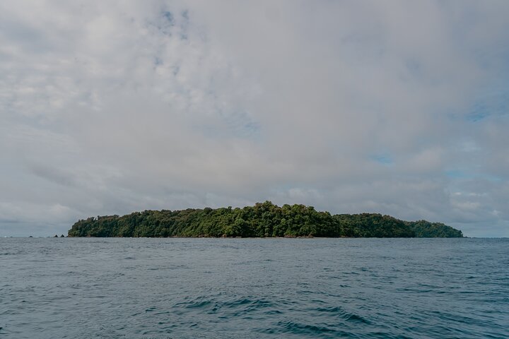 Discovery Scuba Diving in Caño Island-First Dive experience