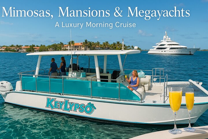 Mimosas, Mansions & Megayachts Tour