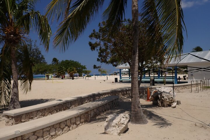4-Stop Stingray, Snorkel, Star Fish & 7 Mile Beach (Family Owned)