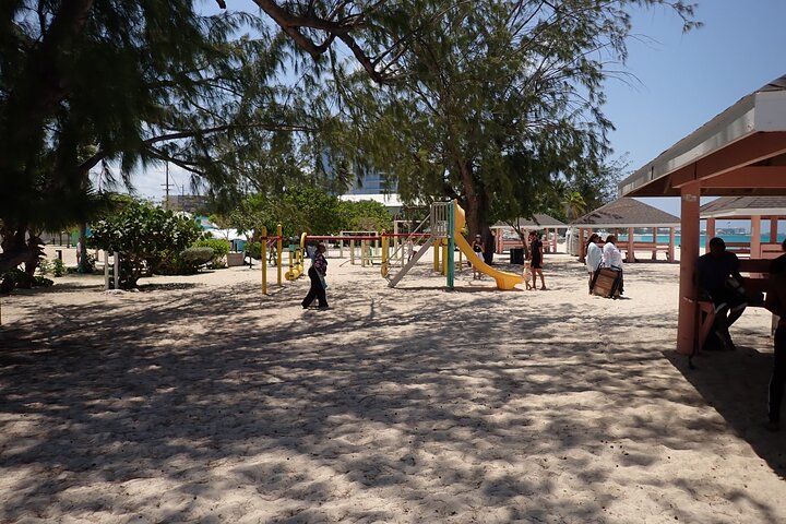 4-Stop Stingray, Snorkel, Star Fish & 7 Mile Beach (Family Owned)