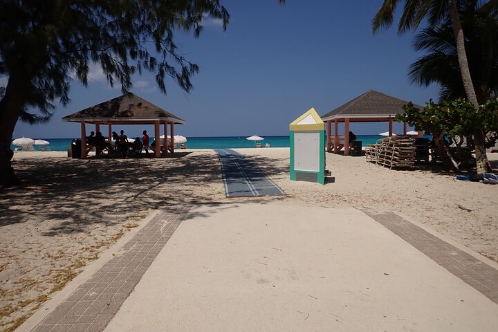 4-Stop Stingray, Snorkel, Star Fish & 7 Mile Beach (Family Owned)