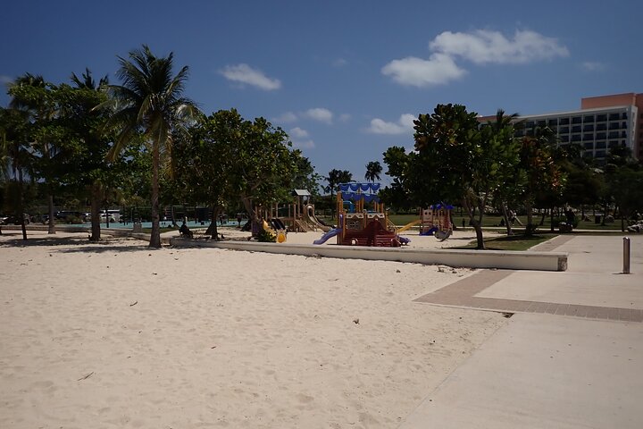 4-Stop Stingray, Snorkel, Star Fish & 7 Mile Beach (Family Owned)