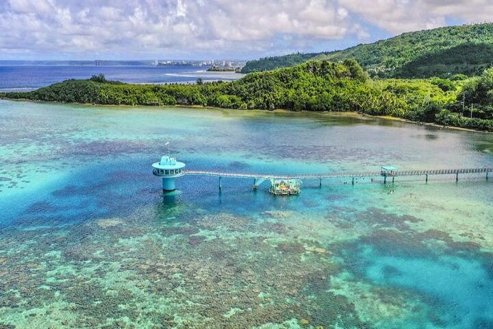 Dolphin Watching Cruise with Underwater Observatory Viewing