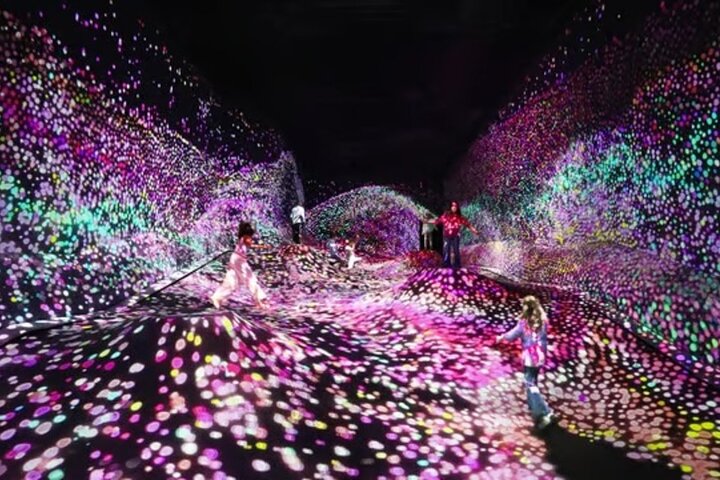 Step Into a Borderless World at teamLab Borderless Jeddah