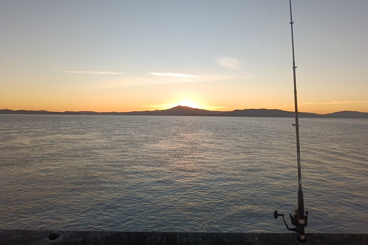 Learn to Pier Fish: Beginner Groups 2-6 persons (No license)