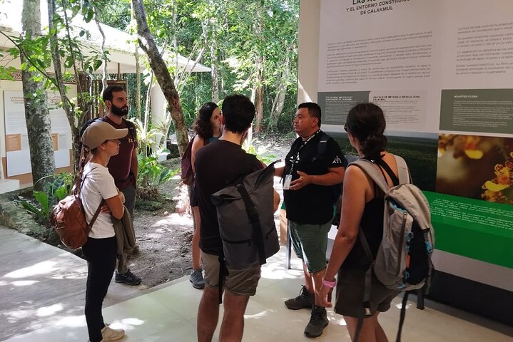 Exclusive Calakmul Expedition: Ruins & Jungle in Small Group