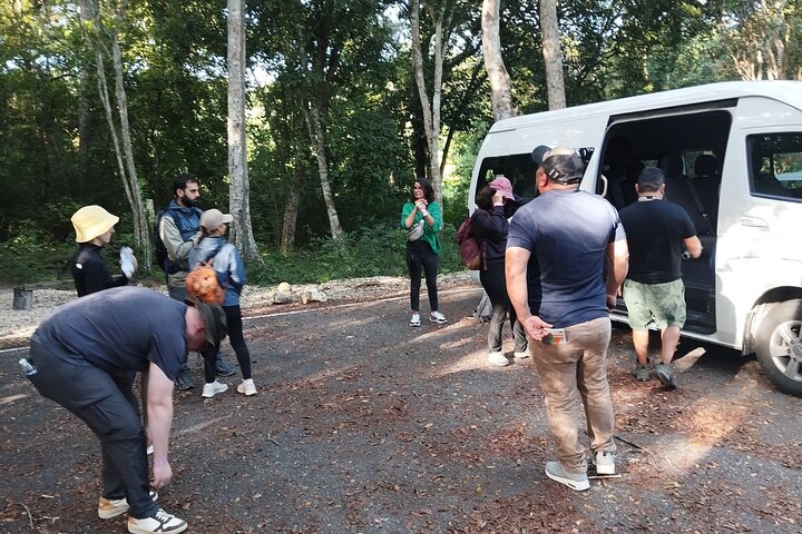 Exclusive Calakmul Expedition: Ruins & Jungle in Small Group