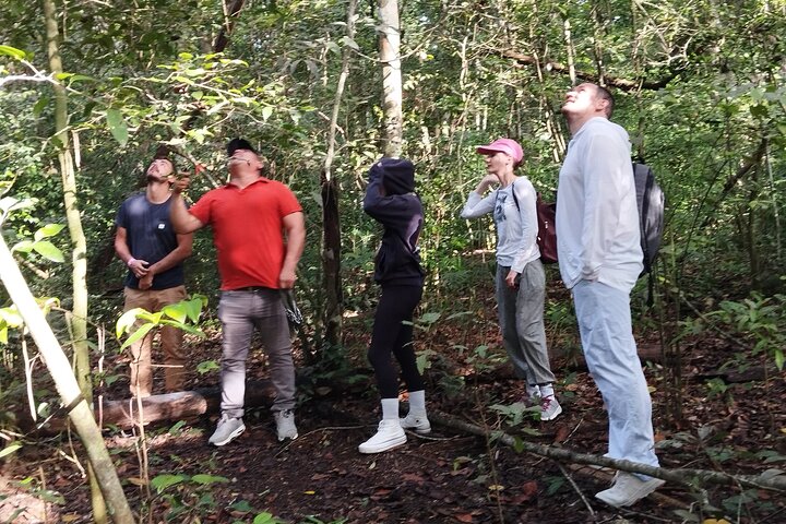 Exclusive Calakmul Expedition: Ruins & Jungle in Small Group