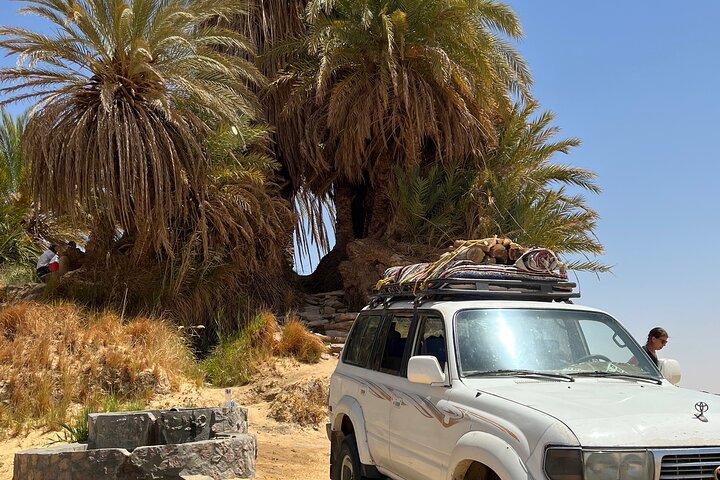 White Desert - Overnight Tour