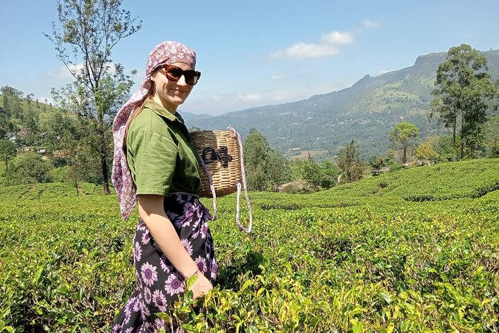 Nuwara Eliya TukTuk Ride Scenic Tea Plantation and Waterfall Tour