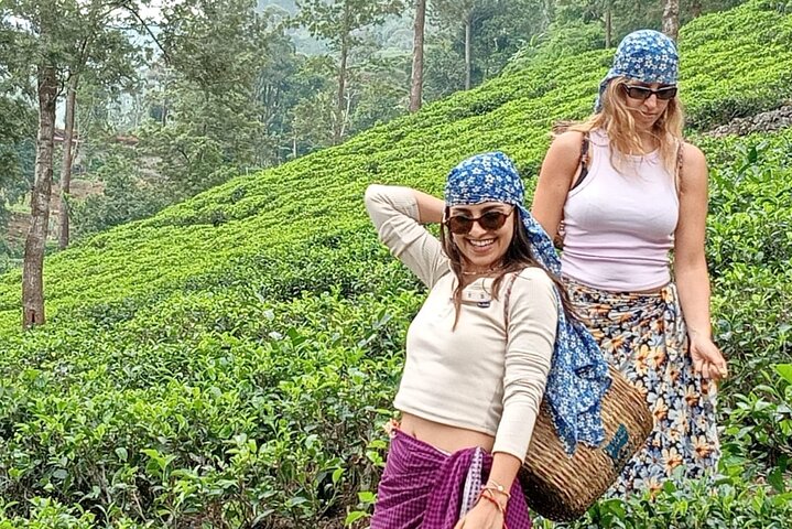 Nuwara Eliya TukTuk Ride Scenic Tea Plantation and Waterfall Tour
