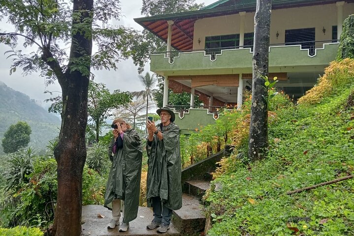 Nuwara Eliya TukTuk Ride Scenic Tea Plantation and Waterfall Tour