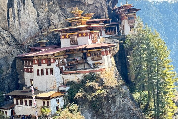 Bhutan’s Golden Triangle: Thimphu, Punakha & Paro Journey(5N|6D)