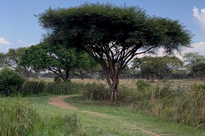 Private Harare City Tour: Wildlife, Art & Iconic Landmarks