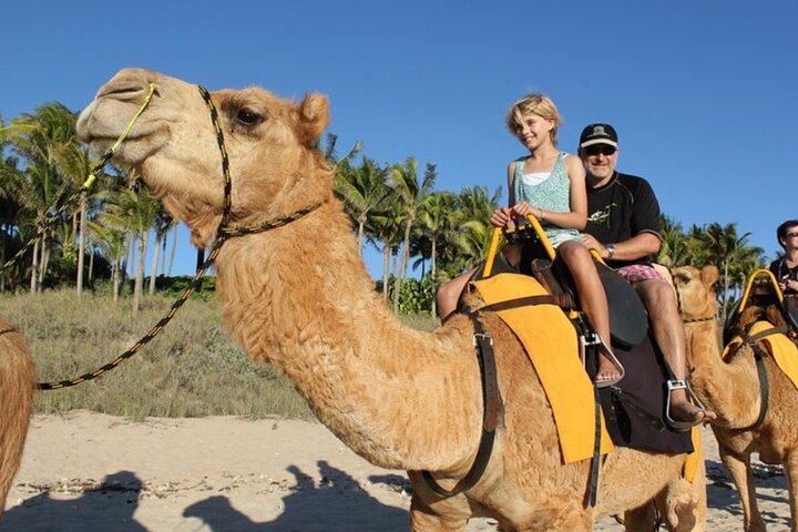 Private Luxury 4-Hour Tangier tour