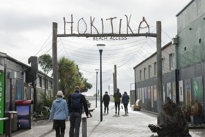 Hokitika Gorge Walk and Wilderness Trail Tour by eBike