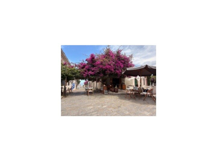 Walking tour Colonia del Sacramento. ENG, SPA, GER, BY
