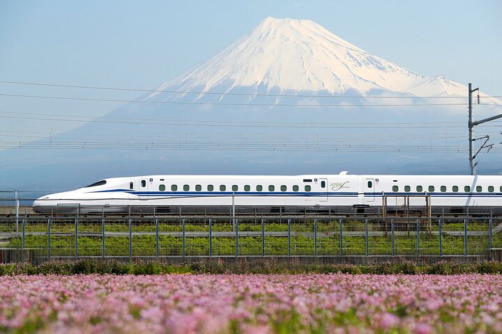 Osaka to Tokyo Bullet Train Trip with Tokyo Subway 24 hour Ticket